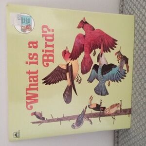Vintage 1973 Golden Book What Is A Bird ? sprimg early learning